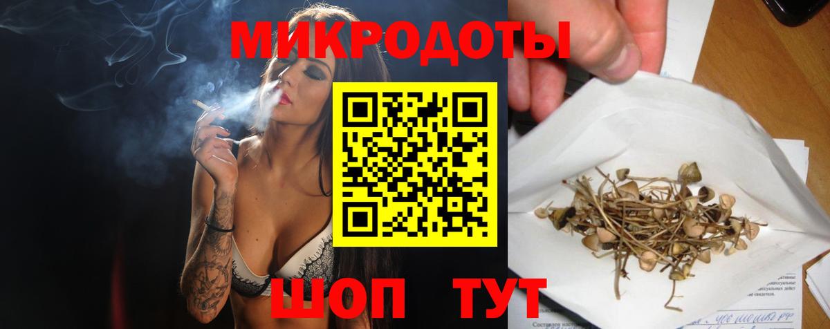 Галлюциногенные грибы Psilocybe Сергиев Посад
